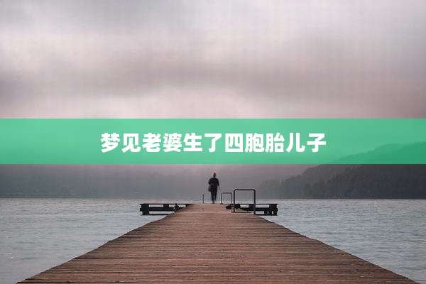 梦见老婆生了四胞胎儿子