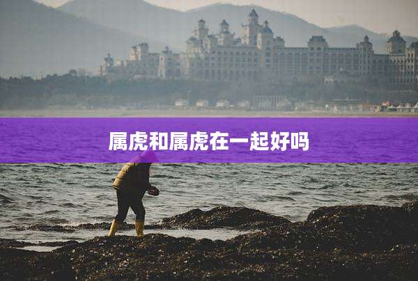 属虎和属虎在一起好吗