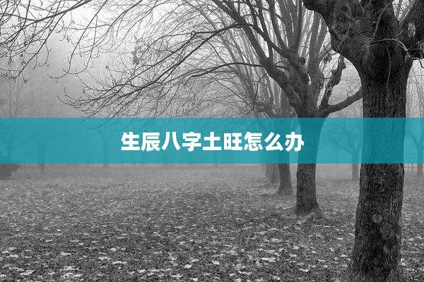 生辰八字土旺怎么办