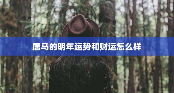 属马的明年运势和财运怎么样