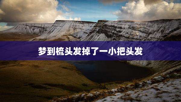 梦到梳头发掉了一小把头发
