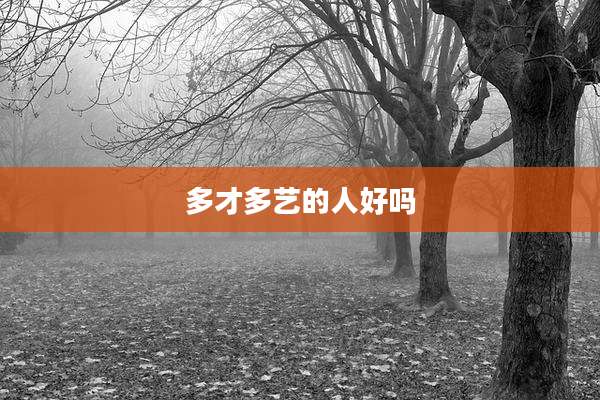 多才多艺的人好吗