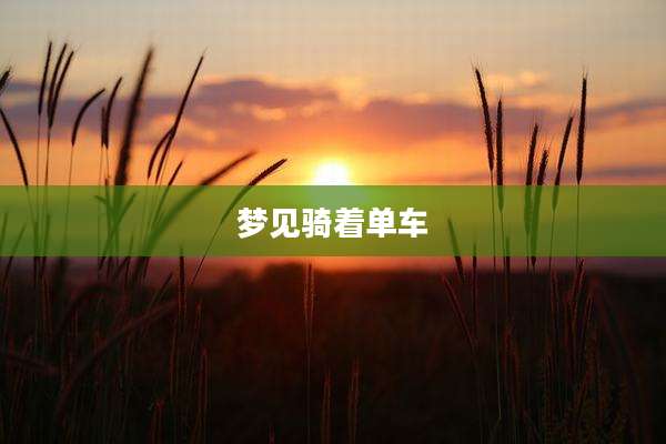 梦见骑着单车