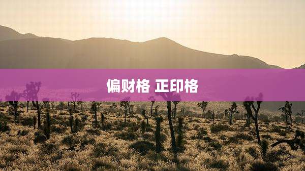 偏财格 正印格