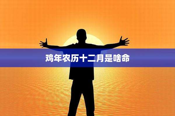鸡年农历十二月是啥命