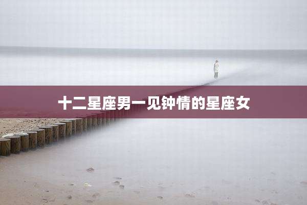 十二星座男一见钟情的星座女