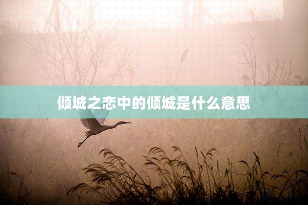 倾城之恋中的倾城是什么意思