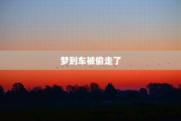 梦到车被偷走了