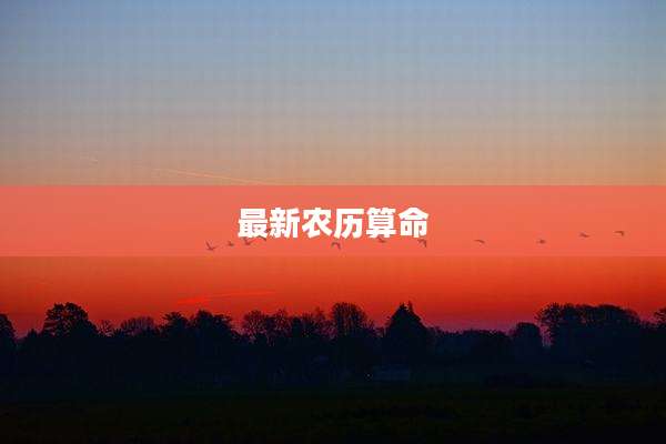 最新农历算命