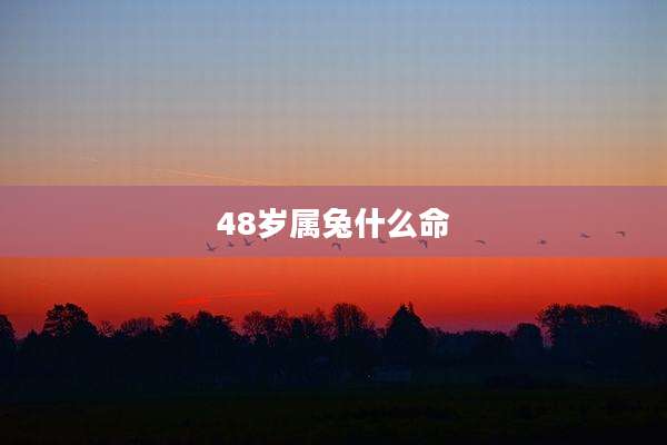 48岁属兔什么命