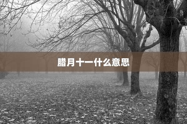 腊月十一什么意思