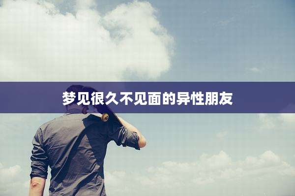 梦见很久不见面的异性朋友