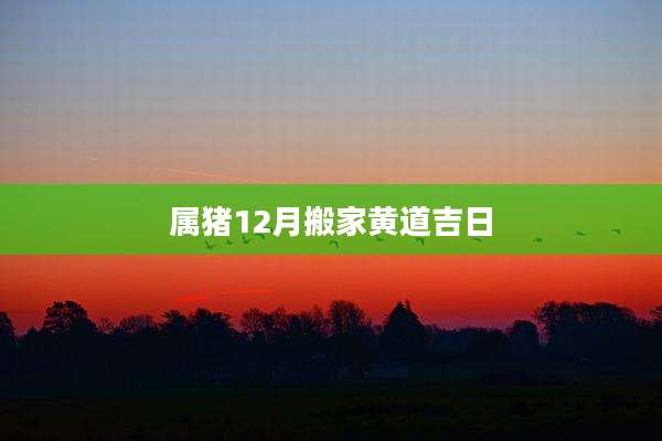 属猪12月搬家黄道吉日