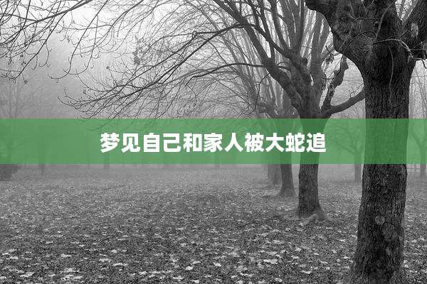 梦见自己和家人被大蛇追