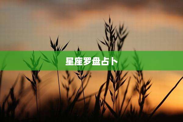 星座罗盘占卜