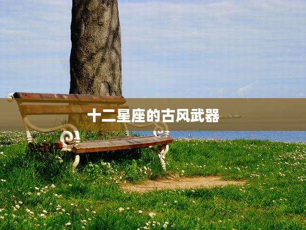 十二星座的古风武器
