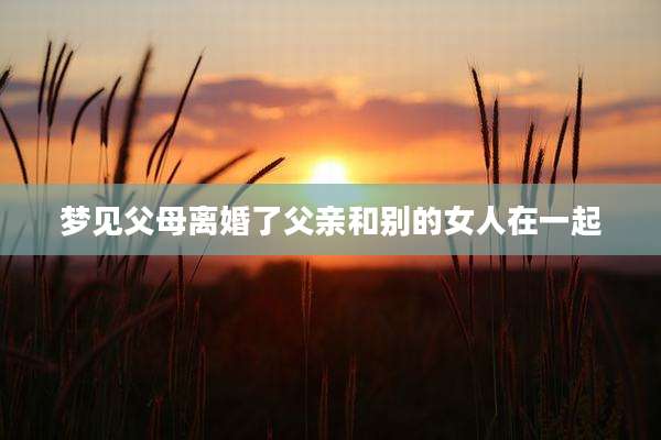 梦见父母离婚了父亲和别的女人在一起