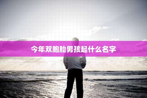 今年双胞胎男孩起什么名字
