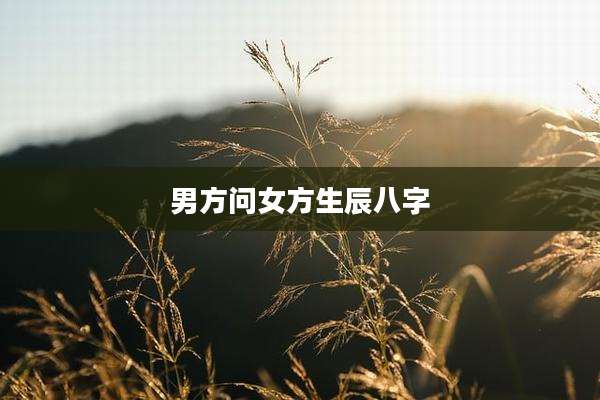 男方问女方生辰八字