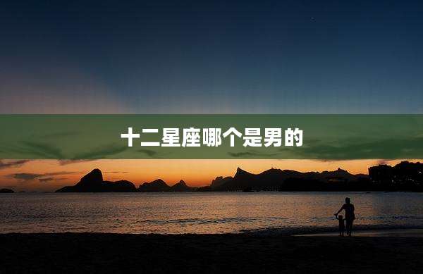 十二星座哪个是男的