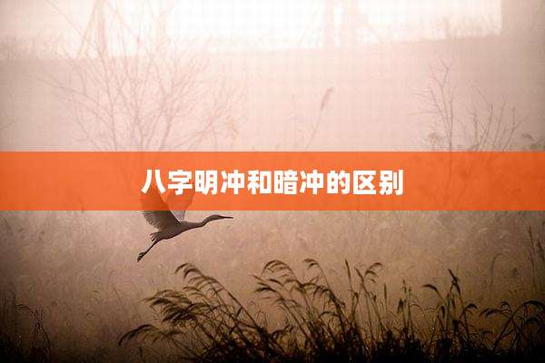 八字明冲和暗冲的区别