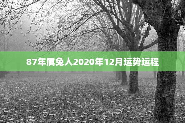 87年属兔人2020年12月运势运程