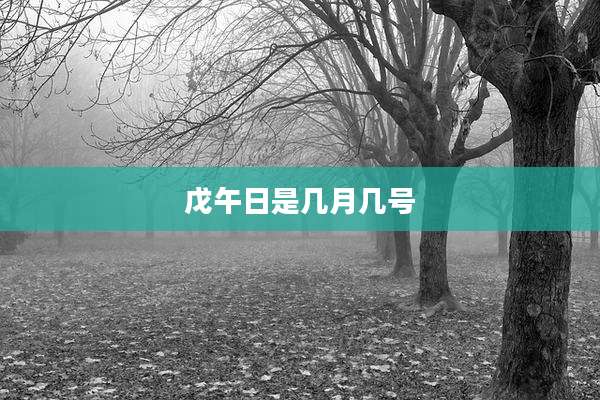 戊午日是几月几号