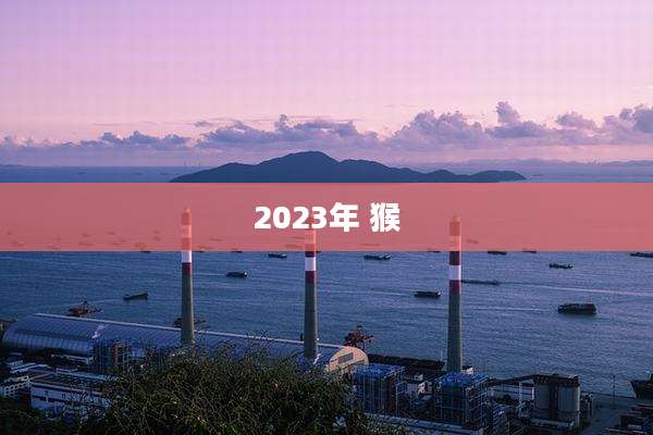 2023年 猴