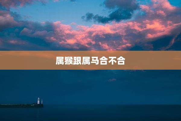 属猴跟属马合不合