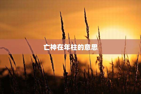 亡神在年柱的意思