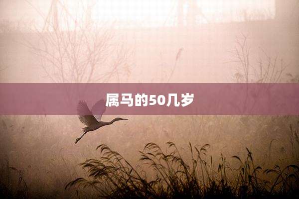 属马的50几岁