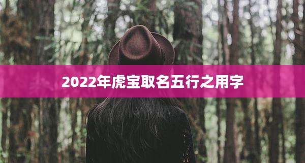 2022年虎宝取名五行之用字