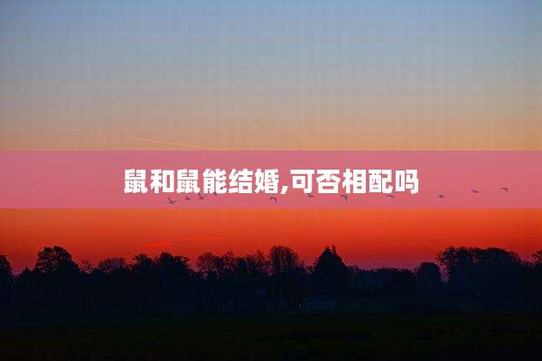 鼠和鼠能结婚,可否相配吗