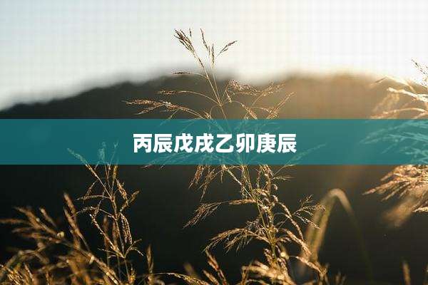 丙辰戊戌乙卯庚辰