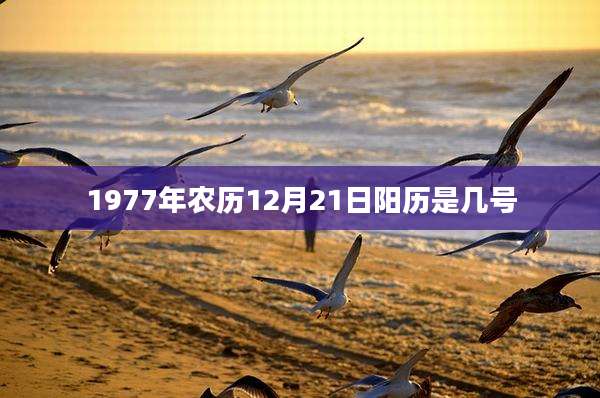 1977年农历12月21日阳历是几号