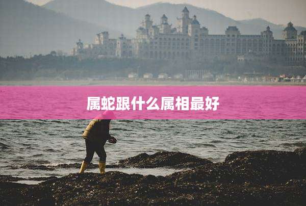 属蛇跟什么属相最好