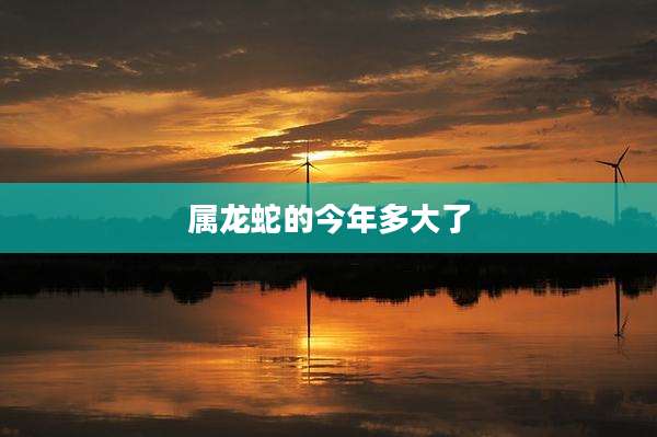属龙蛇的今年多大了