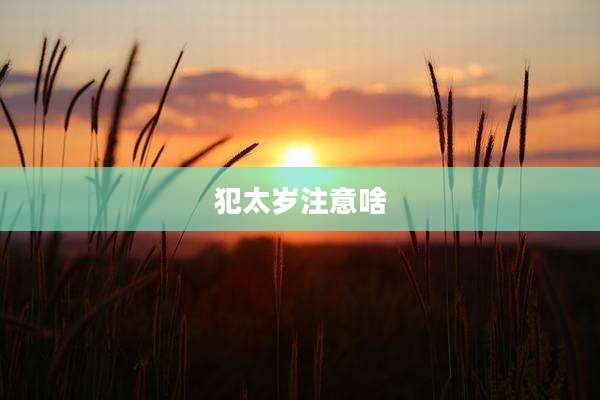 犯太岁注意啥