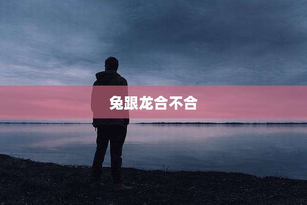 兔跟龙合不合