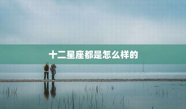 十二星座都是怎么样的