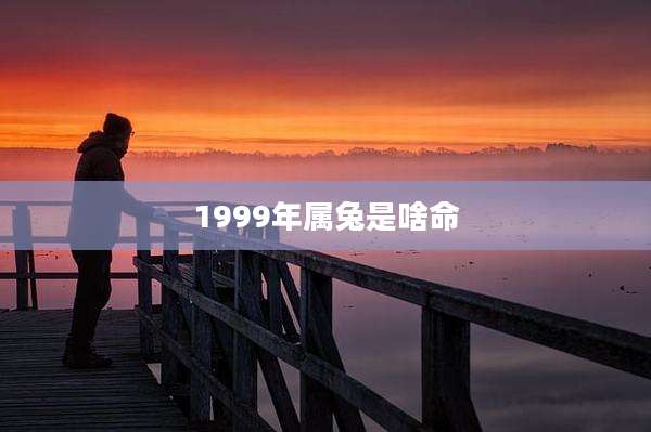 1999年属兔是啥命