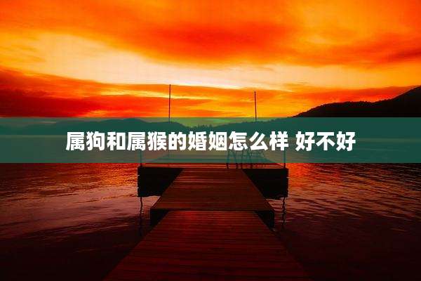 属狗和属猴的婚姻怎么样 好不好
