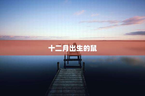 十二月出生的鼠