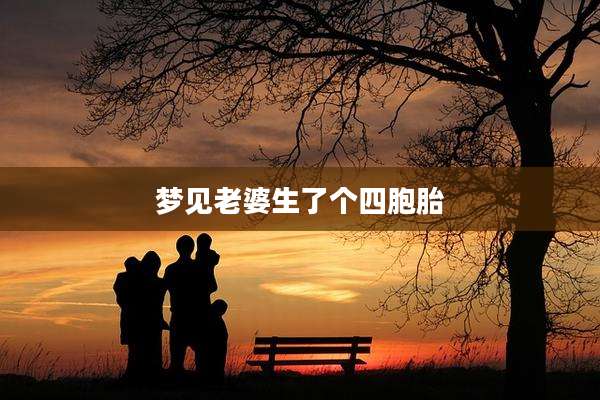 梦见老婆生了个四胞胎