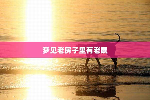 梦见老房子里有老鼠