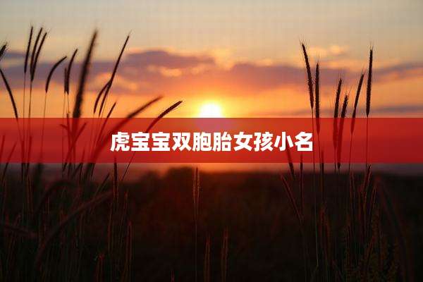 虎宝宝双胞胎女孩小名
