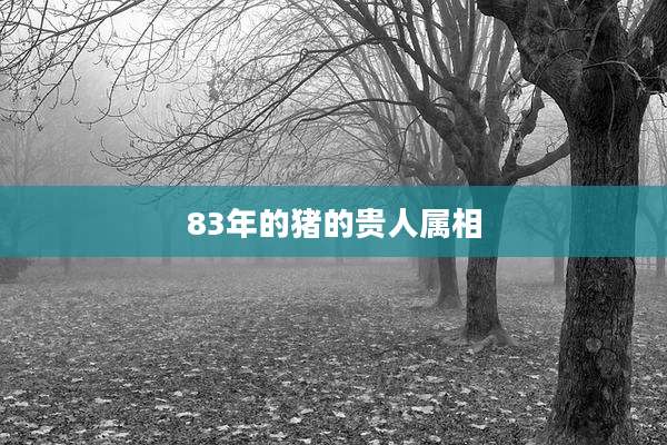 83年的猪的贵人属相