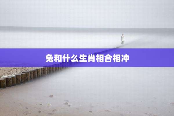 兔和什么生肖相合相冲
