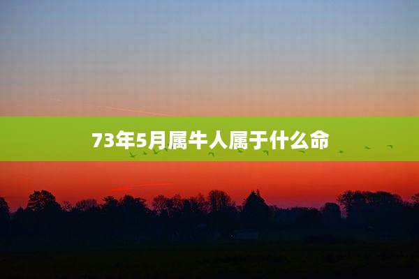 73年5月属牛人属于什么命