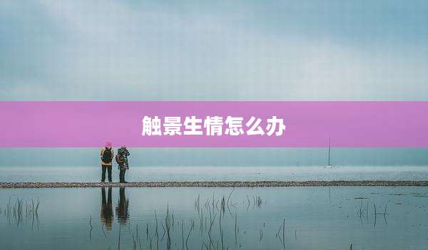 触景生情怎么办